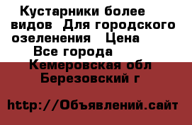Кустарники более 100 видов. Для городского озеленения › Цена ­ 70 - Все города  »    . Кемеровская обл.,Березовский г.